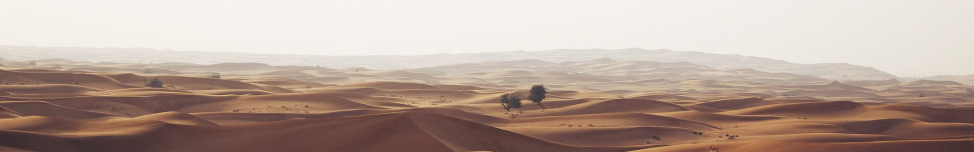 оɺƼ޹˾